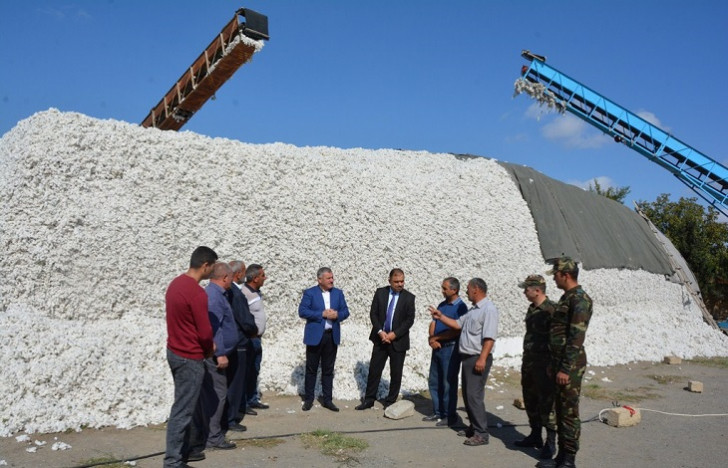 Müstəqim Məmmədov  pambıq yığımı və tikinti-abadlıq işlərinin gedişi ilə tanış olub