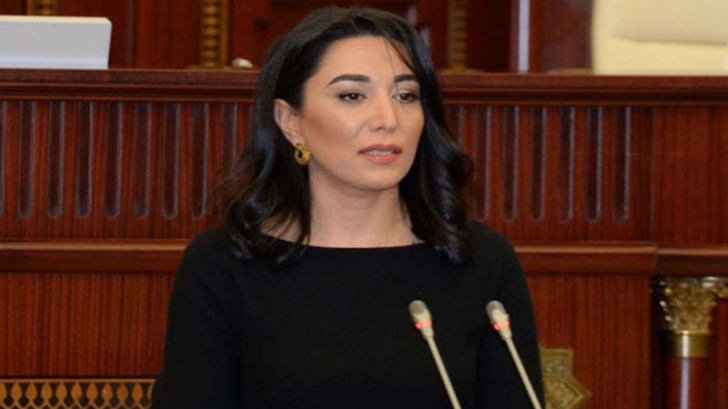 Ombudsman beynəlxalq təşkilatlara bəyanat göndərdi