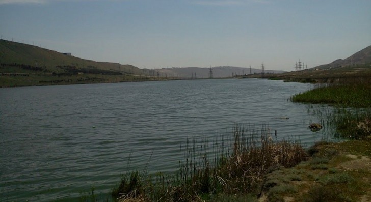 Bakıda yeni Nəbatat bağı salınacaq