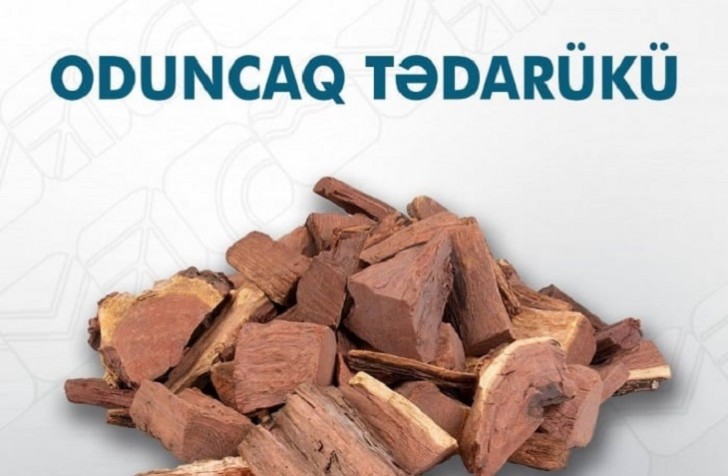 Şimal və cənub bölgəsində bu günə qədər 11175 m3 oduncaq tədarük olunub