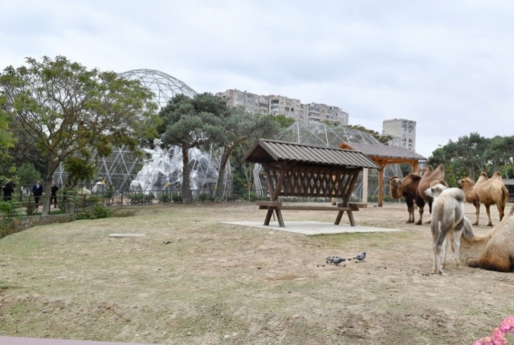 Bakı Zooloji Parkına giriş qiymətləri açıqlandı