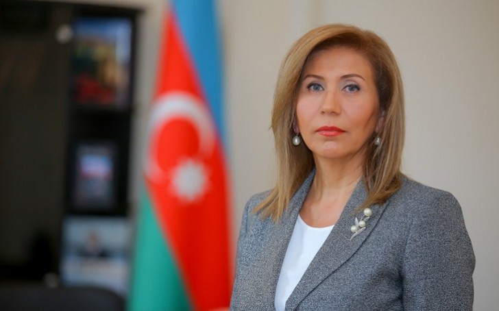 Bahar Muradova bəzi deputatları tənqid edib: