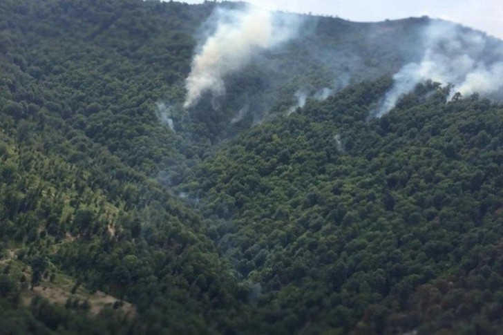 Qoruqda başlayan yanğının tam söndürülməsi istiqamətində işlər davam etdirilir