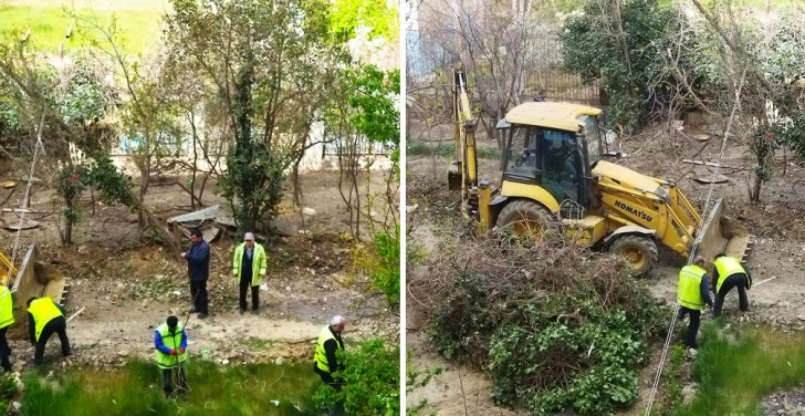 Yeni Yasamalda yaşıllıqları kim məhv edib? - ETSN məsələni diqqətə götürdü (FOTOLAR)
