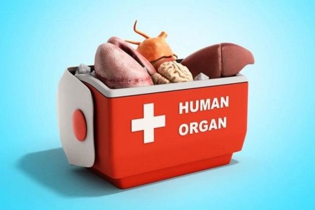 Qanunla qadağan olunan şəxslərdən orqan transplantasiyası edənləri sərt cəzalar gözləyir