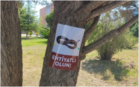 Universitetdə ilanla bağlı elan müzakirələrə səbəb oldu -