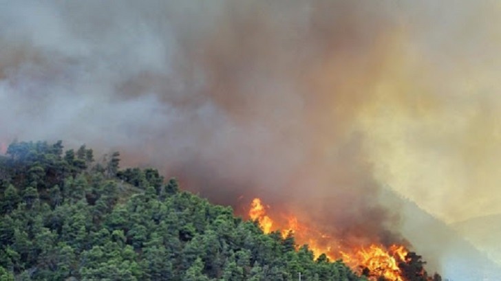 FHN Şabranda baş vermiş yanğınla bağlı məlumat yaydı