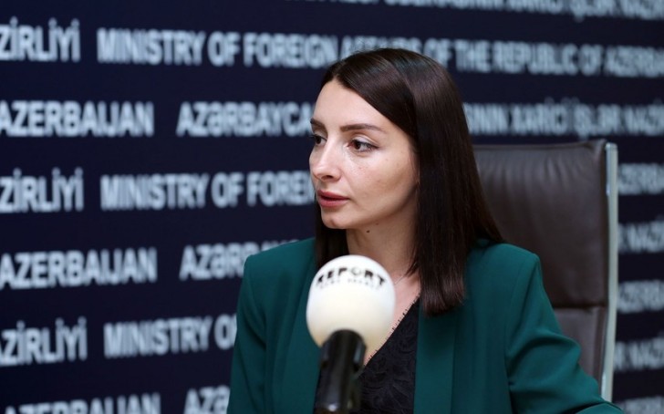 Leyla Abdullayeva Azərbaycanın Fransadakı səfiri vəzifəsinə təyin edilib