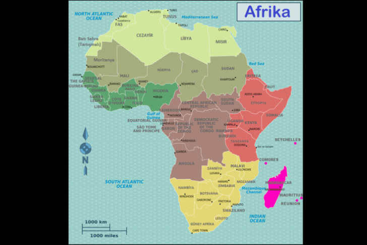 Afrika 2023-cü ildə hansı hadisələrlə yadda qaldı?