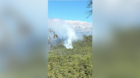 Antalya yenə meşə yanğınları ilə mübarizə aparır