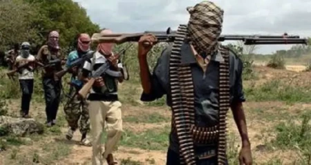 Nigerdə terror hücumu: 71 nəfər həyatını itirdi
