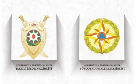 Laçında meşə yanğınına 3 nəfər məsuliyyətə cəlb olundu