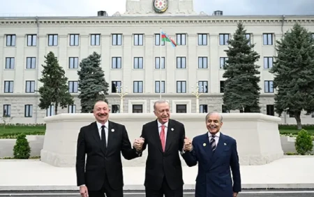 İlham Əliyev Ərdoğana: Bizi mutlu etdin... - VİDEO