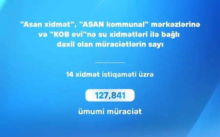 ADSEA-ya bu qədər müraciət daxil olub