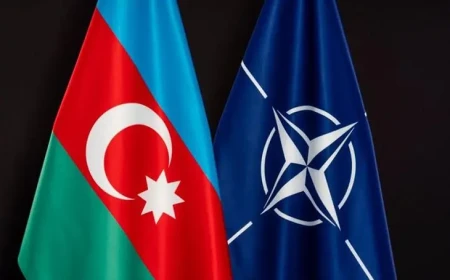 Azərbaycan və NATO arasında tərəfdaşlığın gələcək inkişafı müzakirə olunub