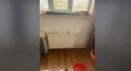 "Qobu Park"dakı görüntülərlə bağlı “Qaçqınkom”dan
