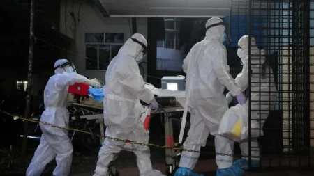 Hindistanda Nipah virusu: Asiya ölkələri həyəcan təbili çalır