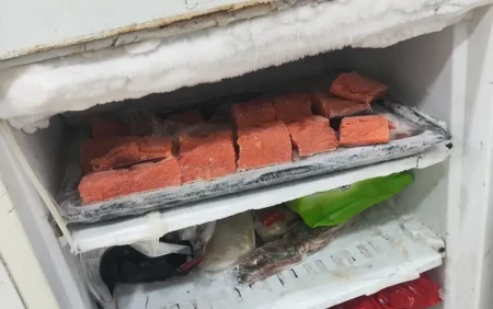 “SushiNano”da nöqsanlar aşkarlandı: