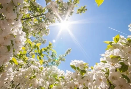 Mayın 1-də 25 dərəcə isti olacaq