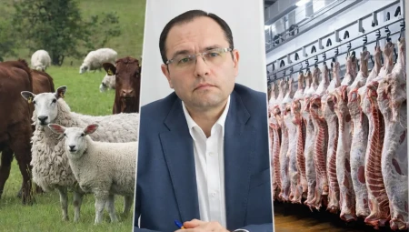 Azalan heyvan sayı, artan ət istehsalı: aqrar sektorda işlər yaman "fırıxdı"