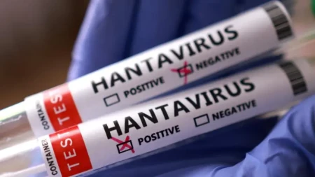 İsraildə bir nəfərdə hantavirus aşkarlanıb