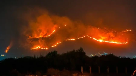 Siciliya adası meşə yanğınları ilə mübarizə aparır